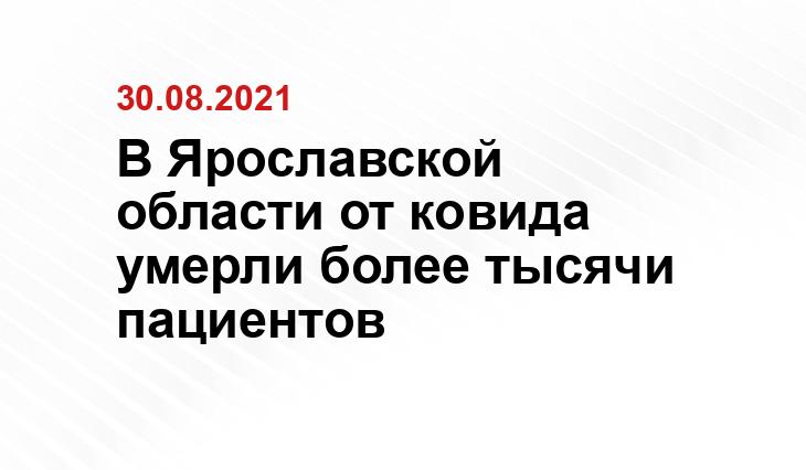 progorod76.ru