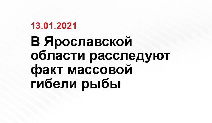 yarreg.ru