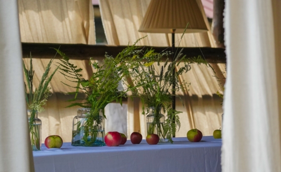 Алхимия уюта: как превратить квадратные метры в место силы — привычки, которые наполнят дом жизнью