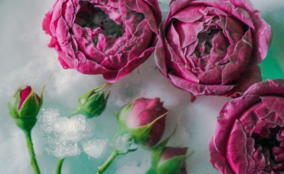 Насколько безопасны парфюмы для помещений: потенциальные риски и натуральные заменители