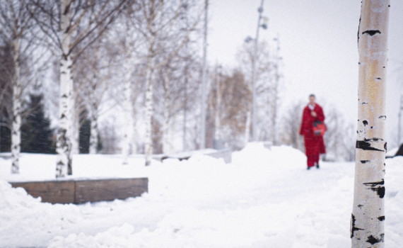 Пальто такого цвета оживит серые будни в ноябре 2025: свежий тренд с мировых подиумов