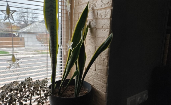 Бабушкины лайфхаки, которые до сих пор работают: чистота без химии и уют без гаджетов