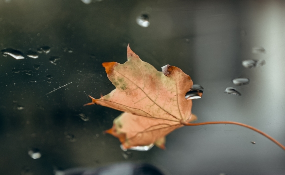 Гороскоп на 29 ноября 2025: когда Вселенная ставит на паузу — ключ судьбы для вашего знака Зодиака