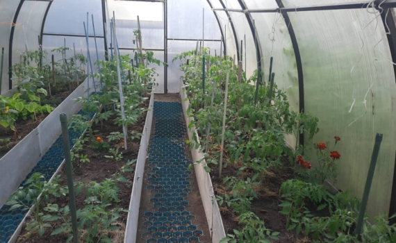 Лунный календарь для посева в январе и феврале: список культур и лучшие даты — успейте до весны Лунный календарь для посева в январе и феврале: список культур и лучшие даты — успейте до весны