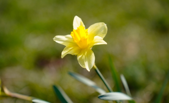 Апрельская погода в Москве и области на неделю перед Пасхой-2026: как одеться — гид по округам Апрельская погода в Москве и области на неделю перед Пасхой-2026: как одеться — гид по округам